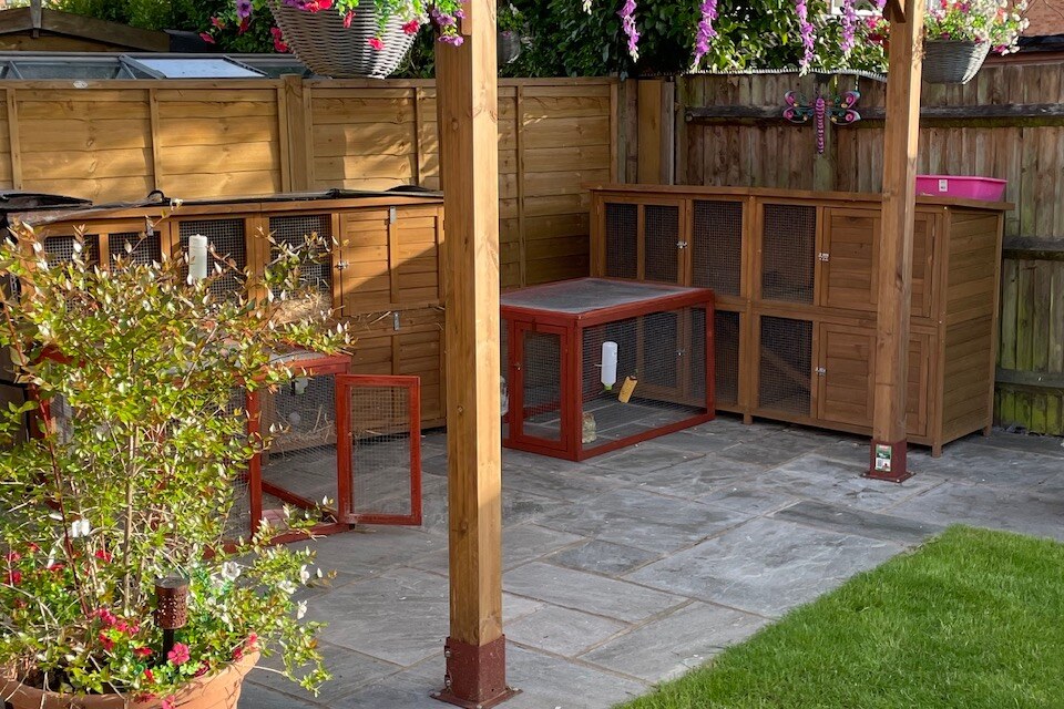 Sunny sheltered boarding space with secure rabbit runs