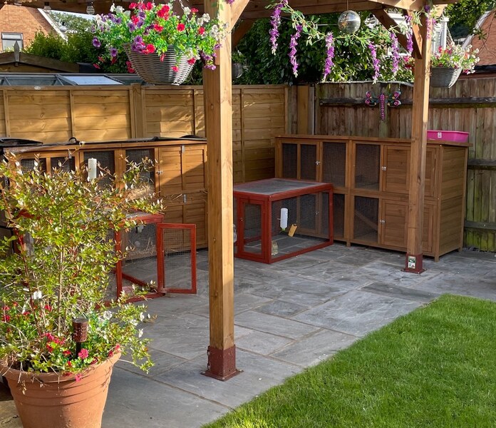 Sunny garden boarding space with grass and shaded patio